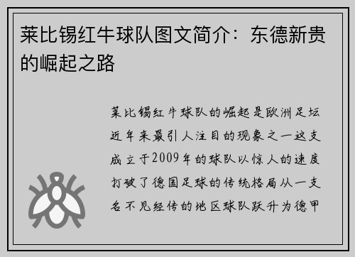 莱比锡红牛球队图文简介：东德新贵的崛起之路